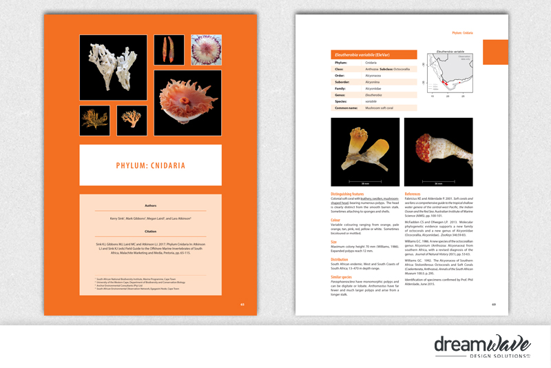 Portfolio_large_pub2019-9-2