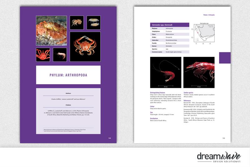 Portfolio_large_pub2019-9-4