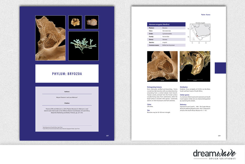 Portfolio_large_pub2019-9-5