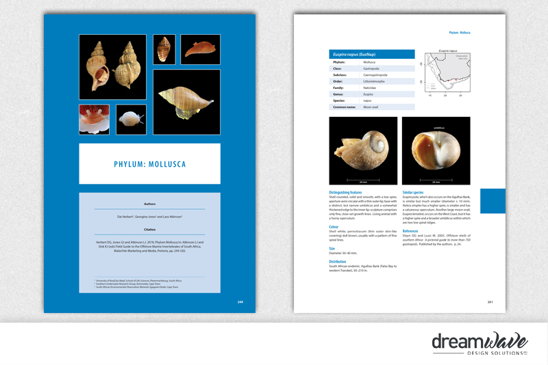 Portfolio_large_pub2019-9-6