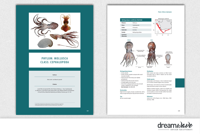 Portfolio_large_pub2019-9-7