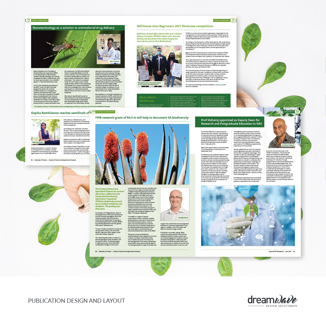 dreamwave posts-layout blocks12