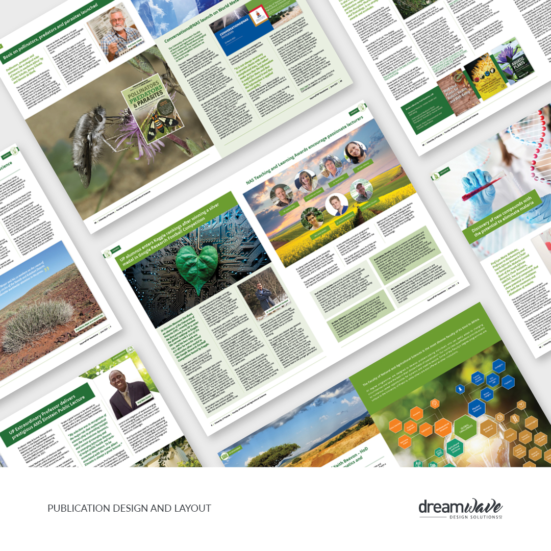 dreamwave posts-layout blocks13